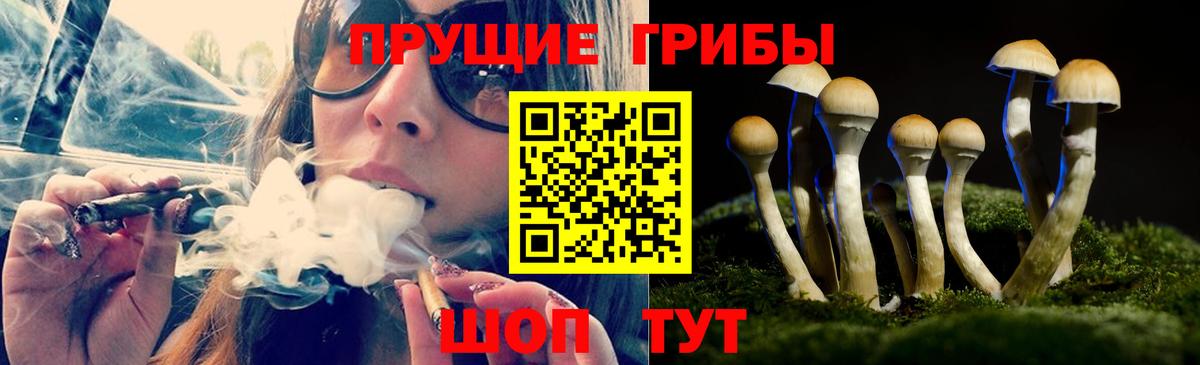 Урус-Мартан  Галлюциногенные грибы Psilocybe  Псилоцибиновые грибы Magic Shrooms  Вход с VPN 