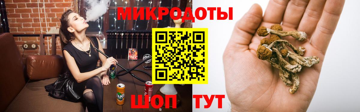 Псилоцибиновые грибы Cubensis Урус-Мартан